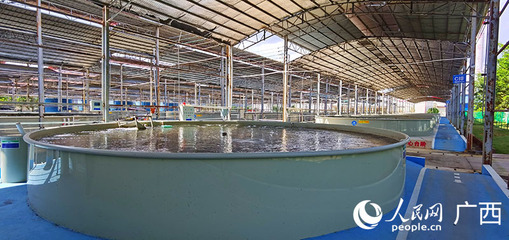 畜牧漁業(yè)飼料銷售 市場(chǎng)現(xiàn)狀與未來展望